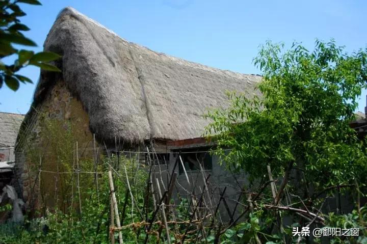 去威海之后建议去哪,去威海玩只想花5000