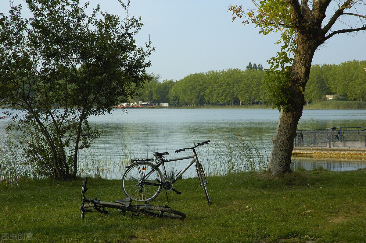 目前爱沙尼亚现状,揭秘爱沙尼亚