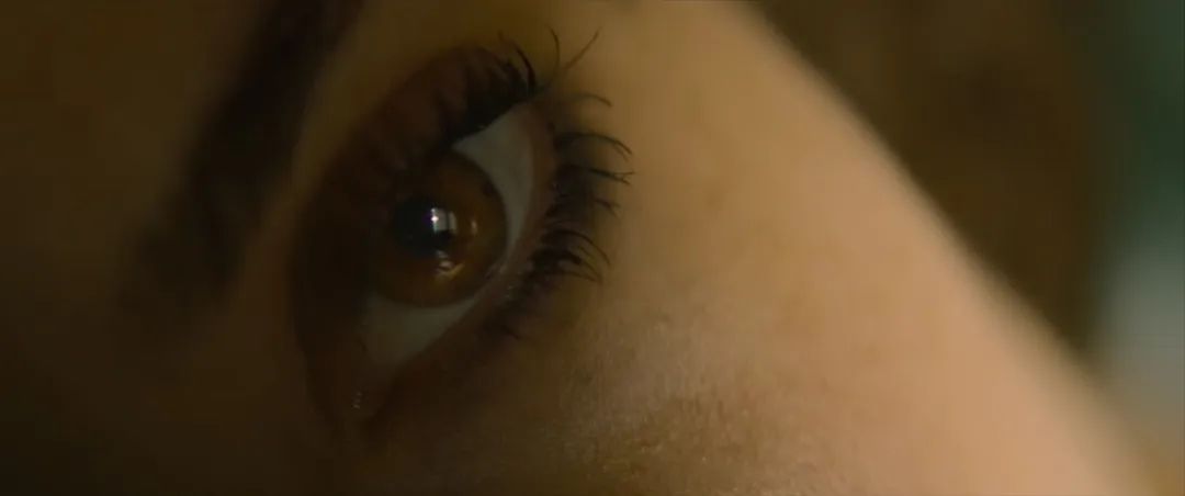 电影土拨鼠之日影评,土拨鼠日原版视频