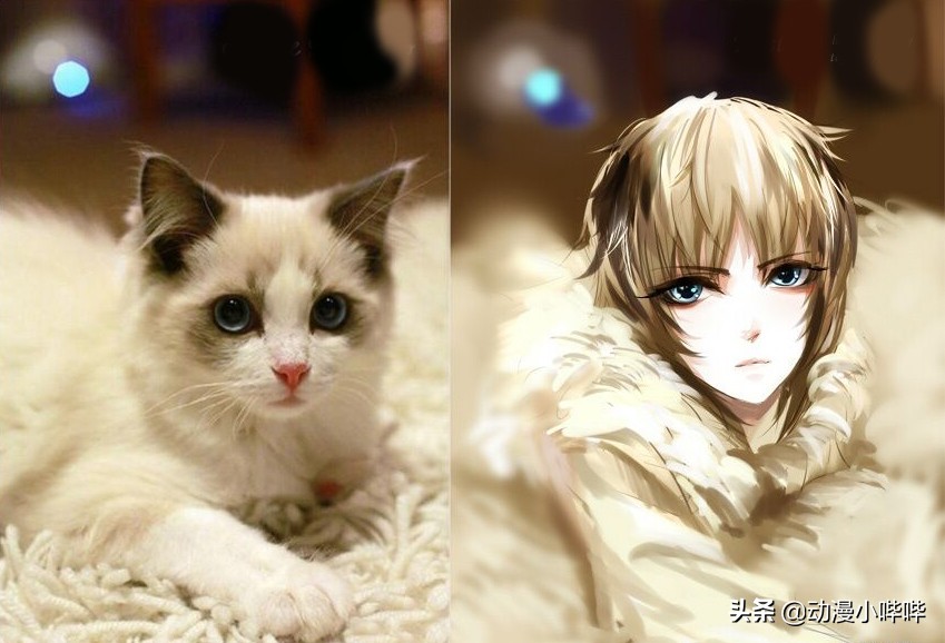 二次元与三次元的完美结合,二次元和三次元的共同点