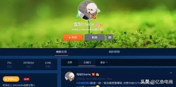 完美矛盾,完美营销模式和营销策略