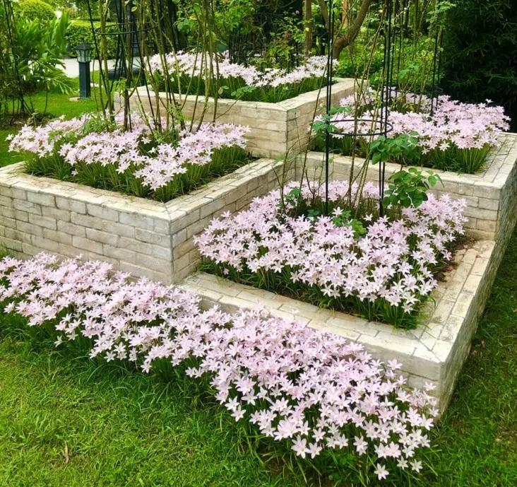 花园庭院设计花卉园艺,花园搭配的草类植物