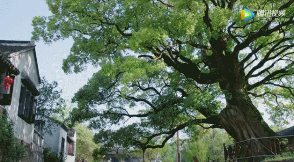 都挺好旅游景点大全,都挺好拍摄地成网红打卡点