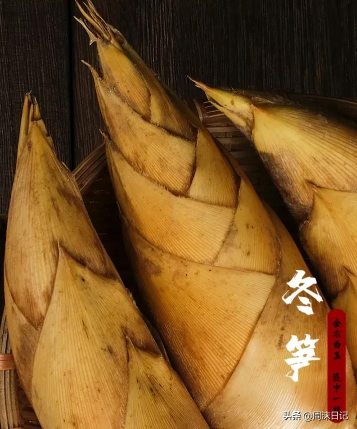 这个季节最好吃的竹笋,正宗武夷山冬笋
