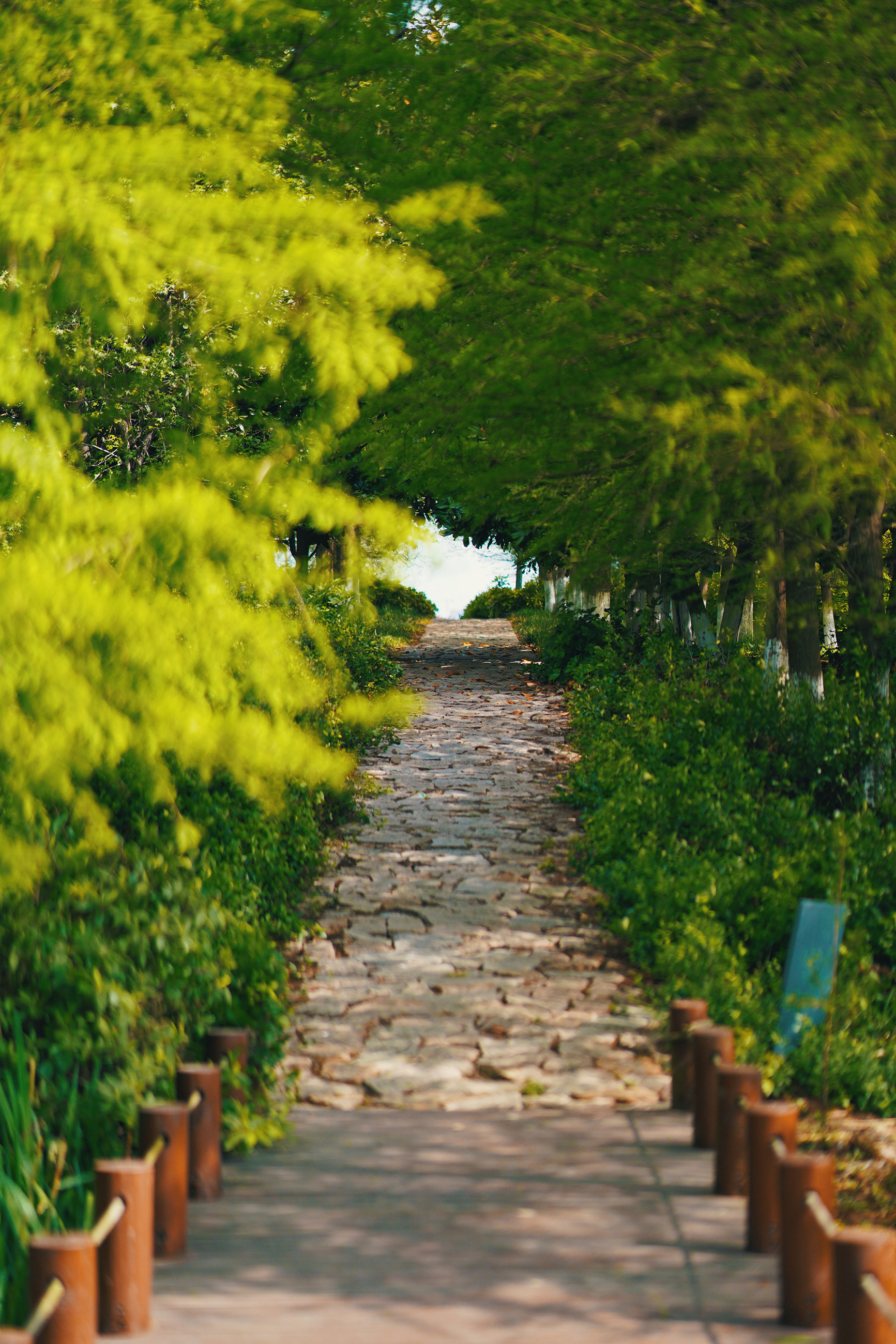 送你一份不走寻常路的苏州攻略，田园风民宿+文艺小清新打卡地