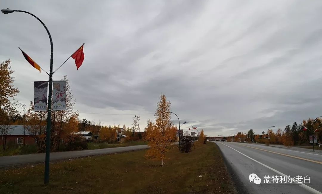 跟着老白行走加拿大，育空Watson Lake、BC省Northern Rockies