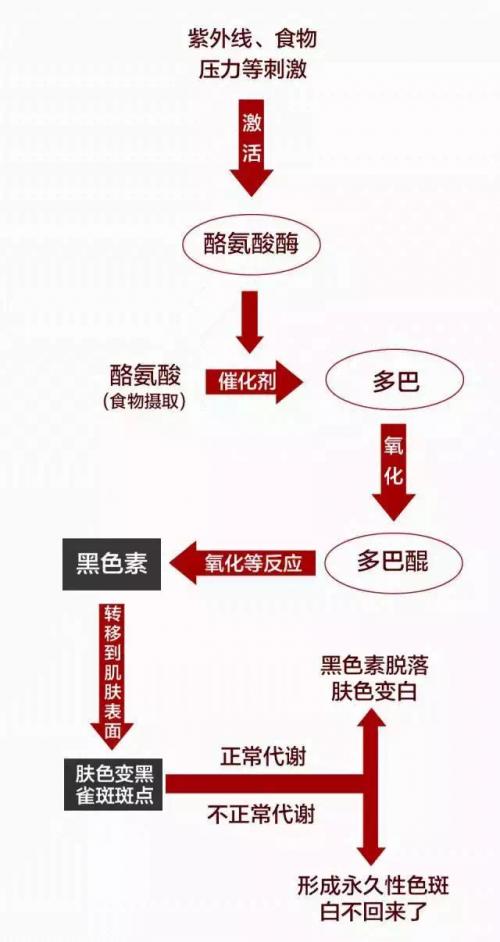 StayTuned香港网购平台：教你夏天如何又白又瘦