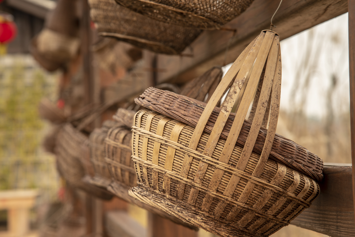 洋湖国家湿地公园,洋沙湖国家湿地公园马鞭草