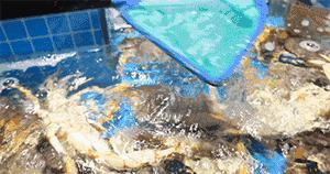 天津人借钱买奢侈品,天津人借钱吃海鲜是什么意思