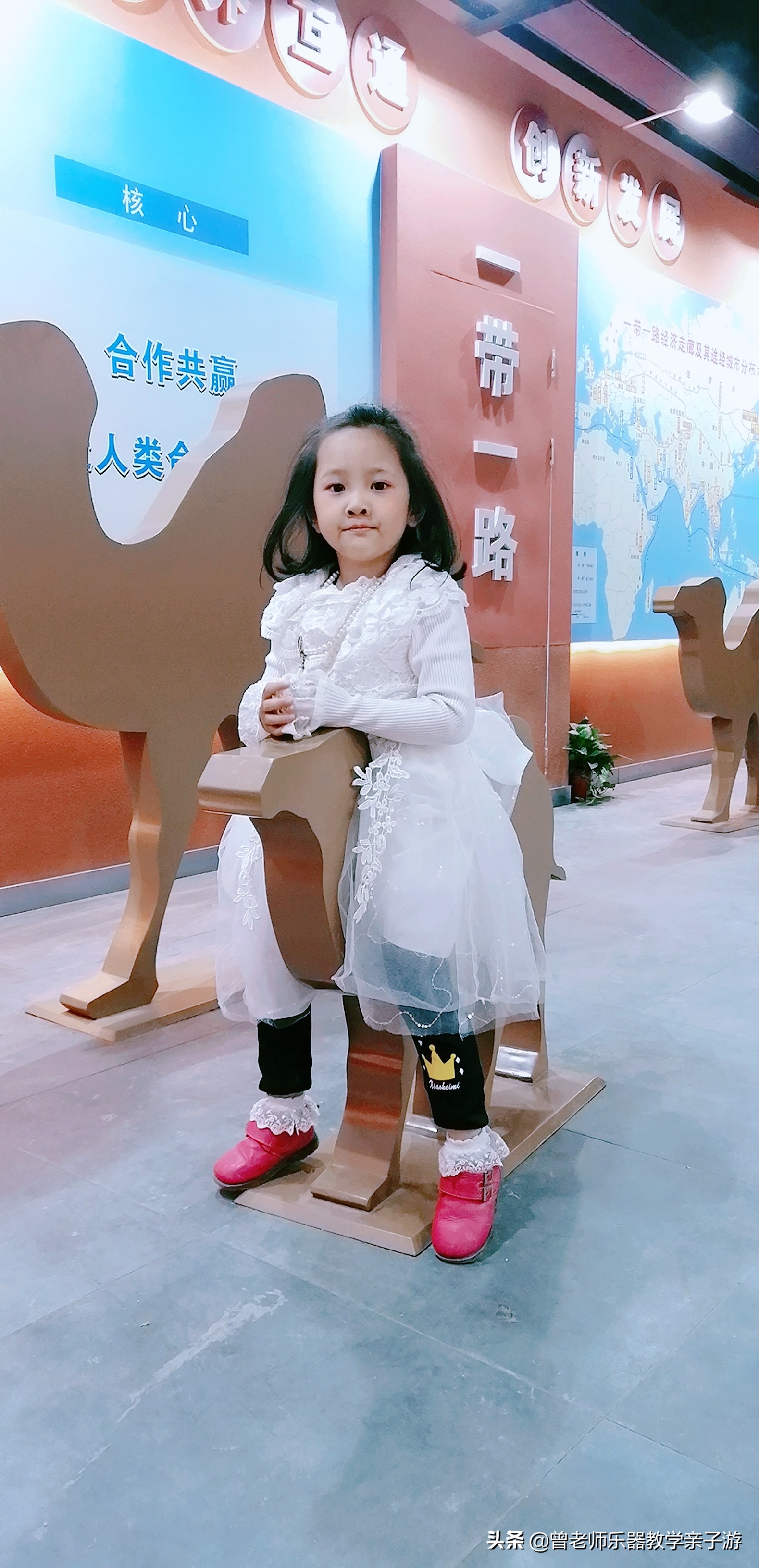 爱菊研学游,爱菊丝路文化菊花园西安