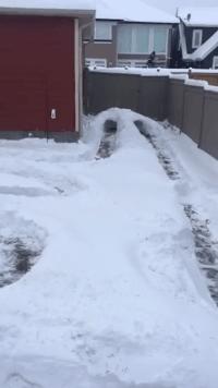 可爱搞笑图片可直接保存,搞笑图片现在的年轻妹纸真会玩啊