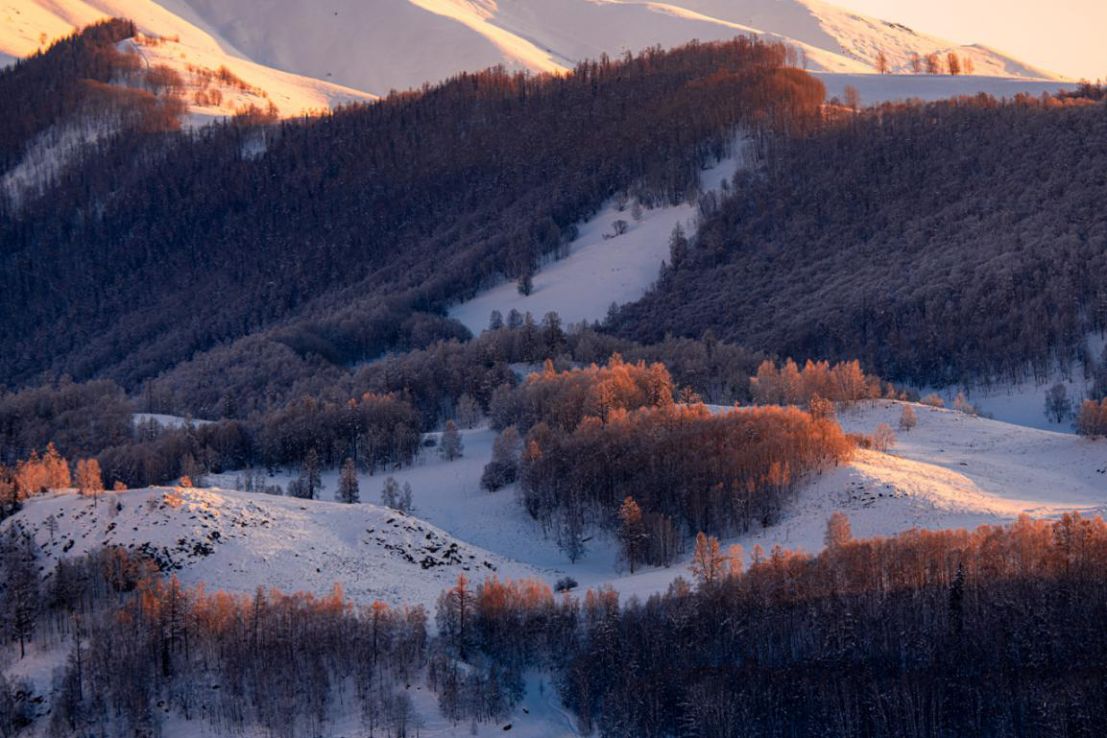 来晒一晒摄影小配件,玩摄影必备神器有哪些东西