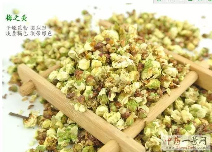 白梅花和绿萼梅功效是不是一样的,美丽的白梅花