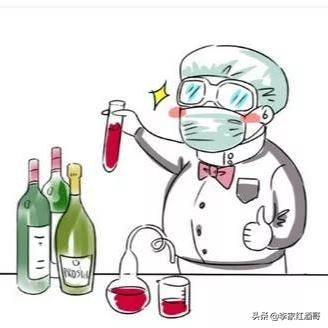 50种有趣的葡萄酒,整理了15条葡萄酒小知识