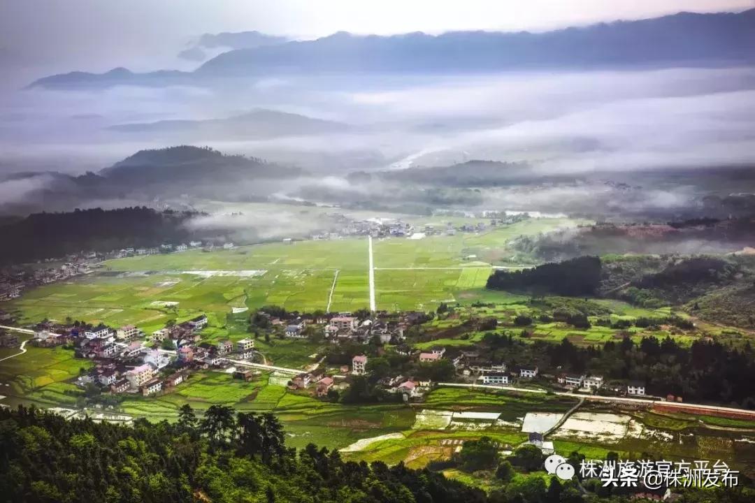 大家好，我叫炎陵，这是我的自我介绍，我想让你更懂我