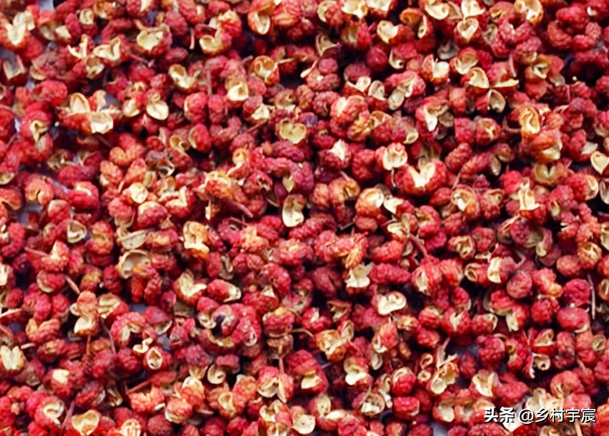 农村一斤50元的植物,农村50元一斤的果树