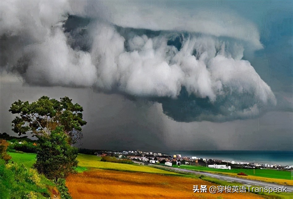 intheteethofwind难道是在风的牙里