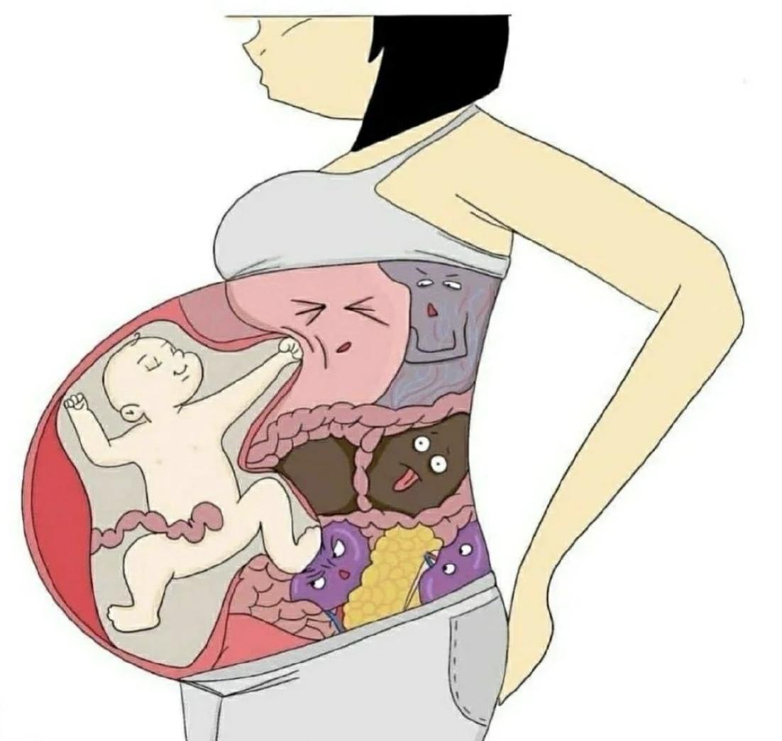 王灿怀孕孕吐,王灿怀孕早期有孕吐吗