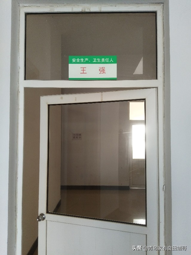 脱毒阳光玫瑰葡萄苗,阳光玫瑰特级苗