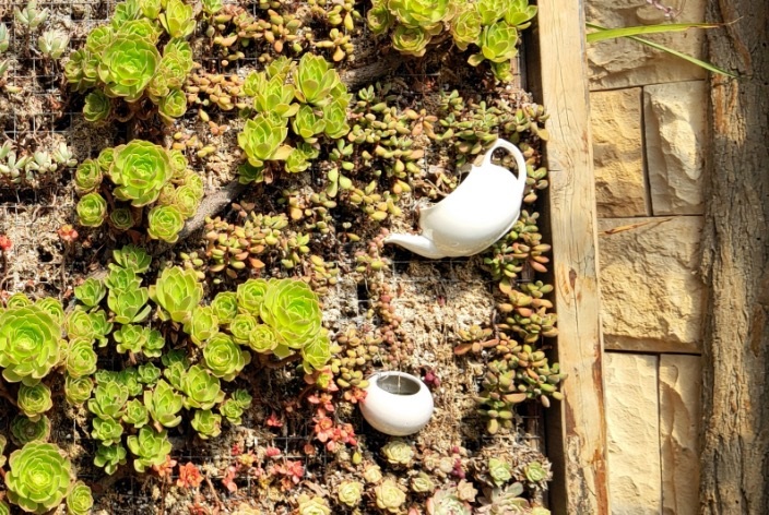 魅族18和魅族18pro买哪个好,魅族18s18pro与18x区别