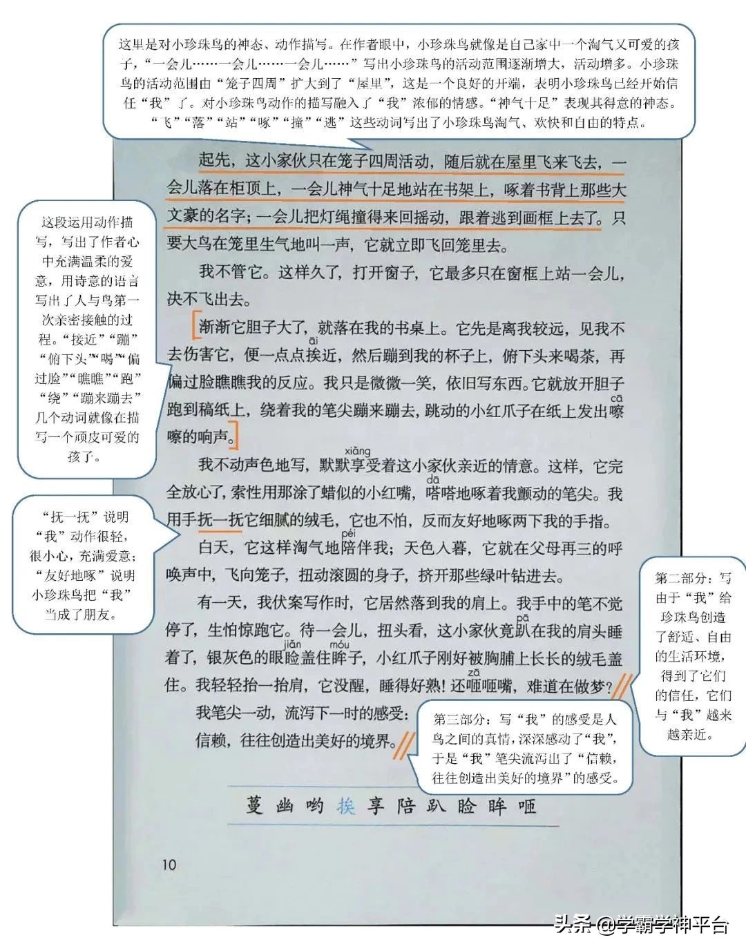 五年级上册语文全册知识点归纳,2021-2022年五年级语文上册人教版