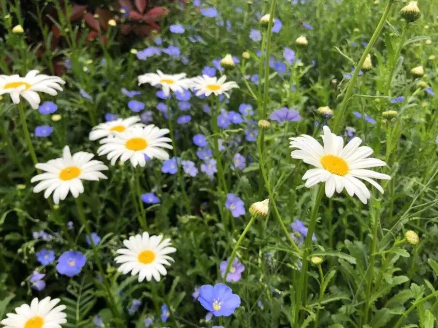 泰州溱湖湿地民宿,泰州溱湖云海温泉酒店