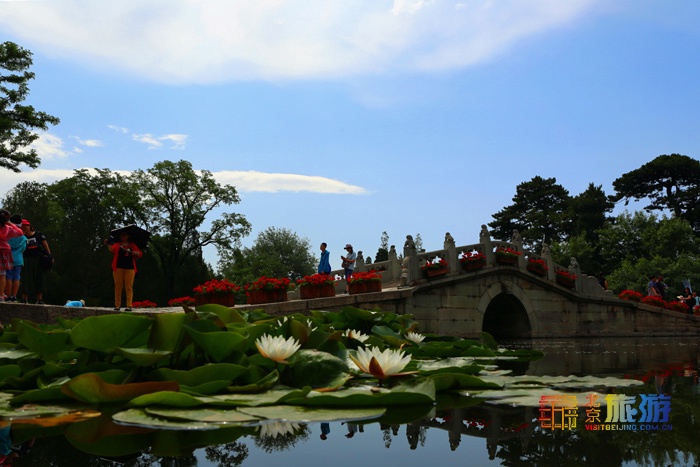 北京旅游网专访香山公园园长齐志坚、研究室主任王柯：“红绿”香山，四季皆景！