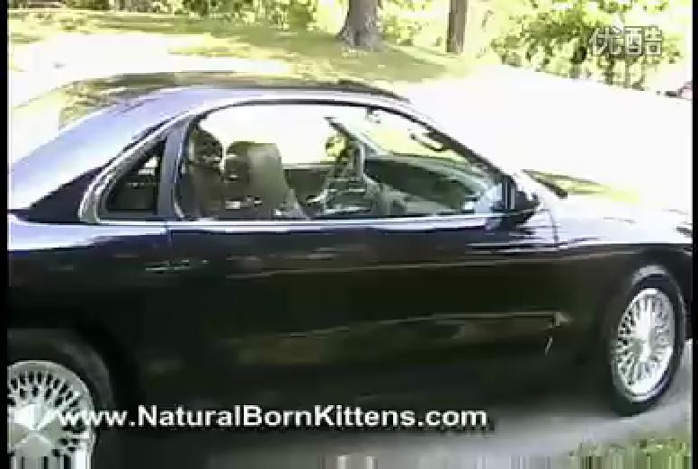 汽车的车门,汽车的车门怎么能打开