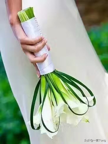 高贵雅致马蹄莲,高贵优雅马蹄莲永生花