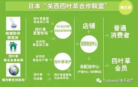 日本森永公司毒奶粉事件,1955年日本森永毒奶粉事件