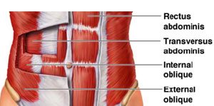 不要人云亦云励志语录,切忌人云亦云议论文