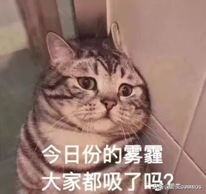 隔离粉尘的隔离霜,隔离脏空气的隔离霜推荐