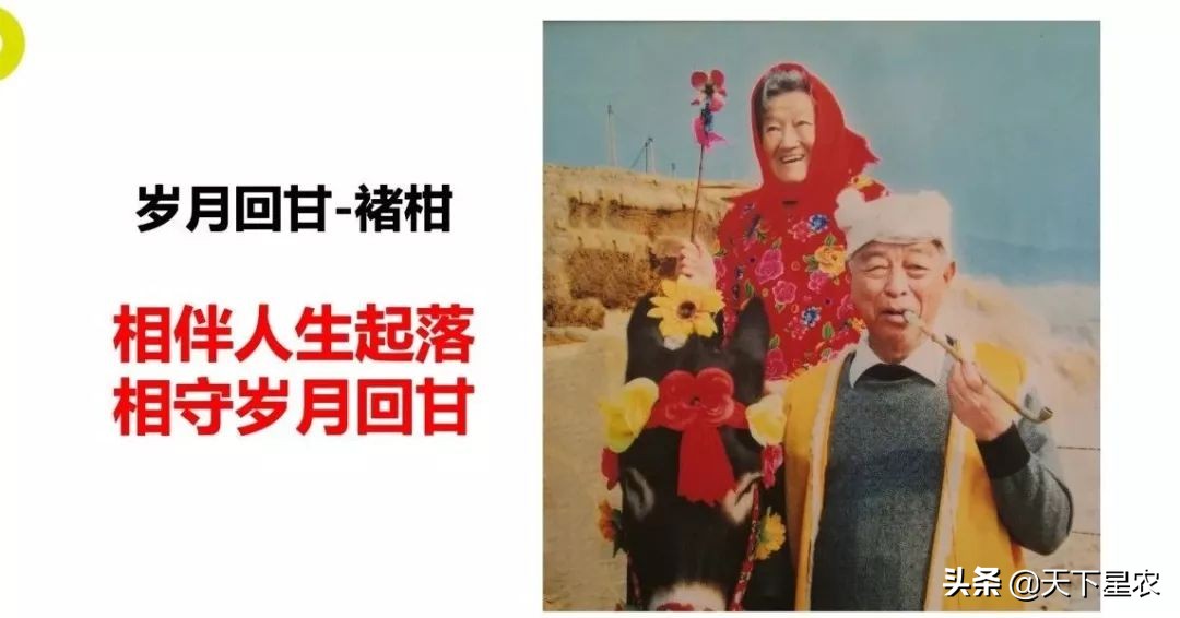 云品出滇飘香京城,云品厨出滇