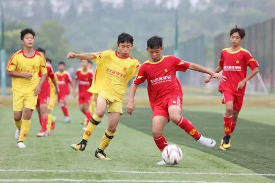 中国归化球员投入8亿,恒大归化球员花了8亿