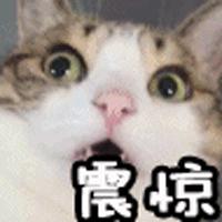 杭州主城区热门小学,杭州哪个区的小中高学校最好