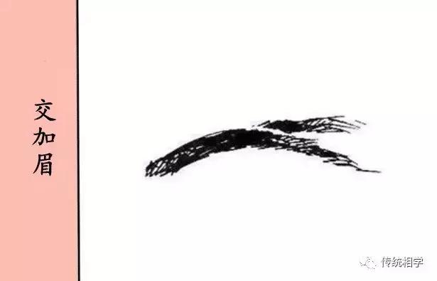 破财眉的特点,破财眉