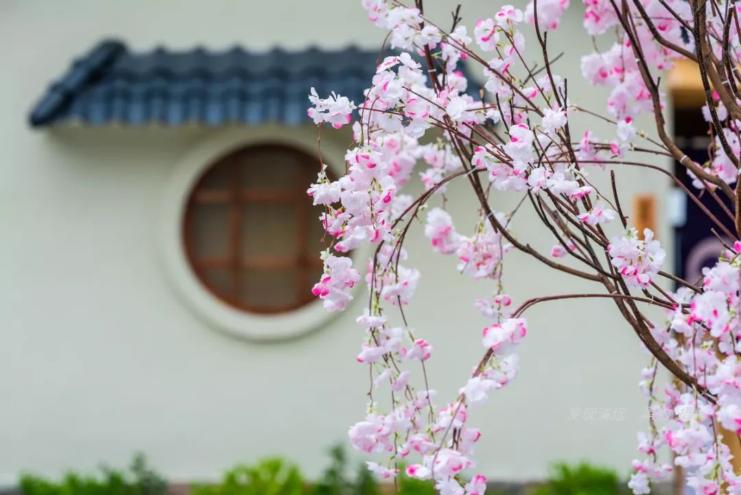 清远止林温泉民宿多少钱一晚,清远独立温泉民宿度假村排名榜