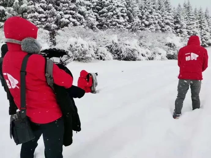 一场冰雪奇缘的视频,一场真正的冰雪奇缘视频