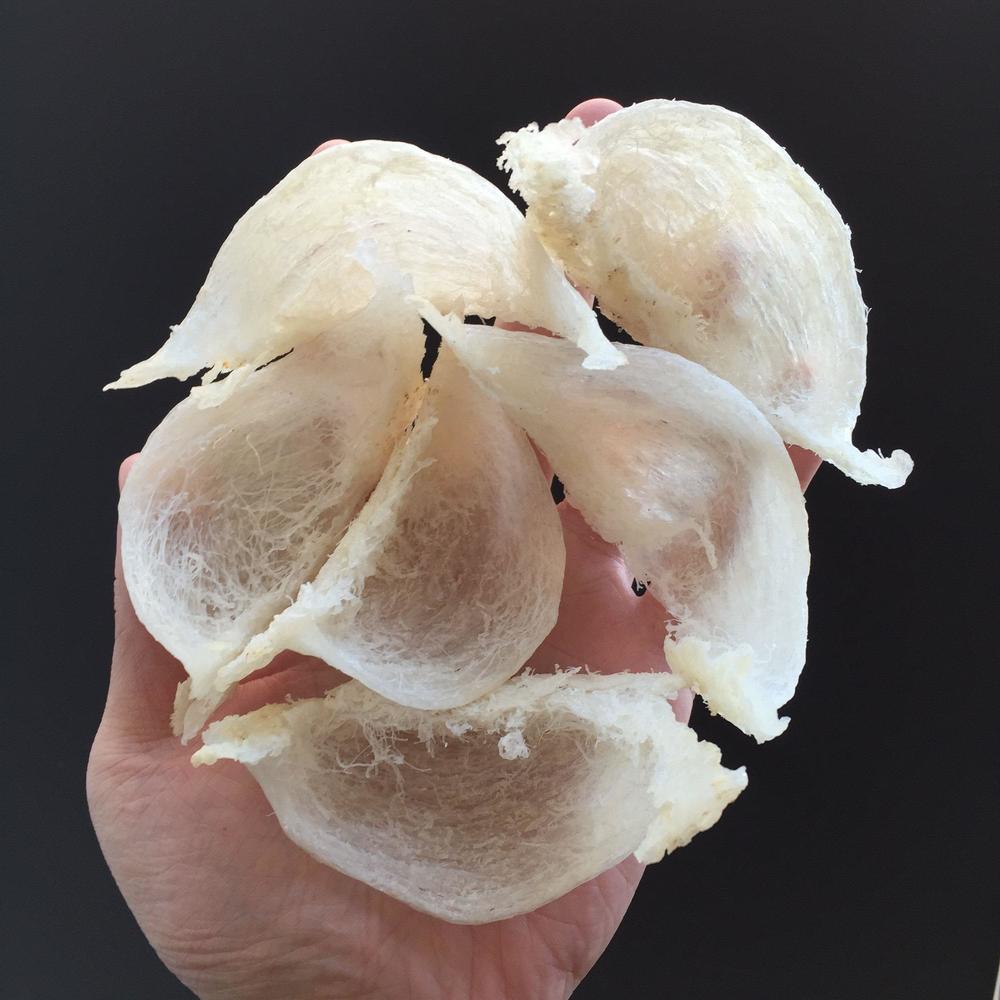 印尼燕窝跟马来燕窝哪个好,sohealthy燕窝是印尼燕窝吗