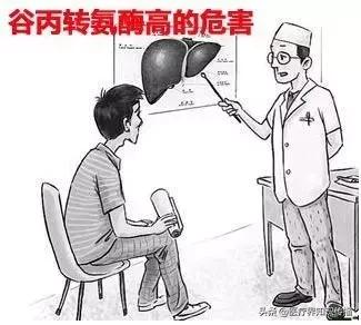 一张图看懂乙肝化验单肝功能正常,肝功能指标怎么查医生来教你