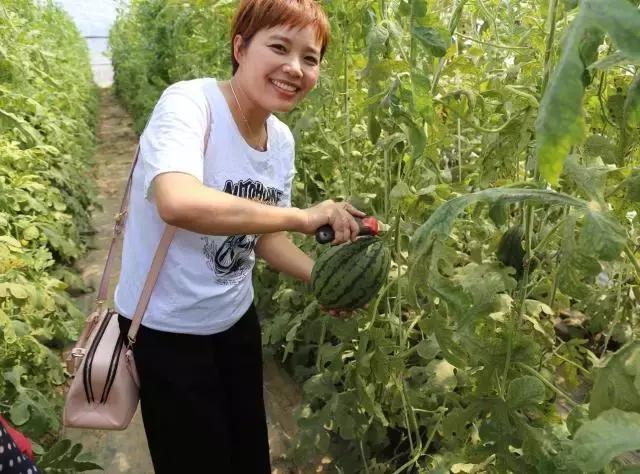 德国平民旅行车,不到20万买旅行车