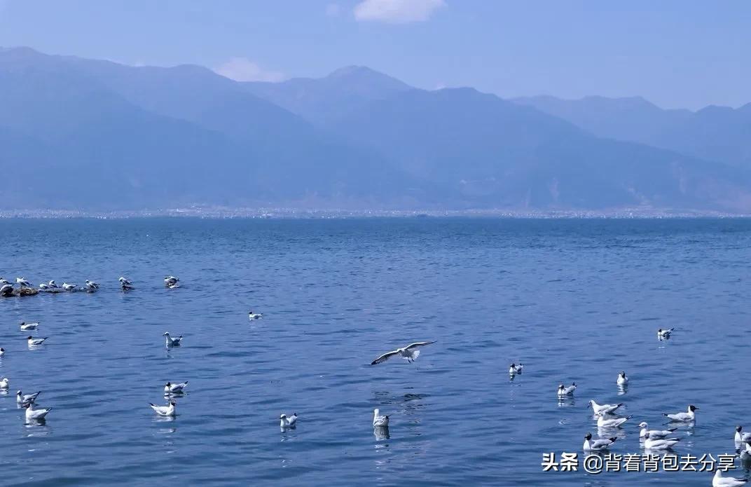 云南旅游攻略必玩的景点详解,云南旅游攻略云南必去4大景点