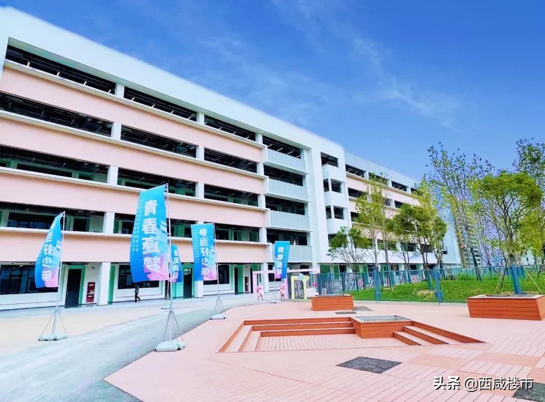 新增的231个学位是什么,5年内新增438万公办学位