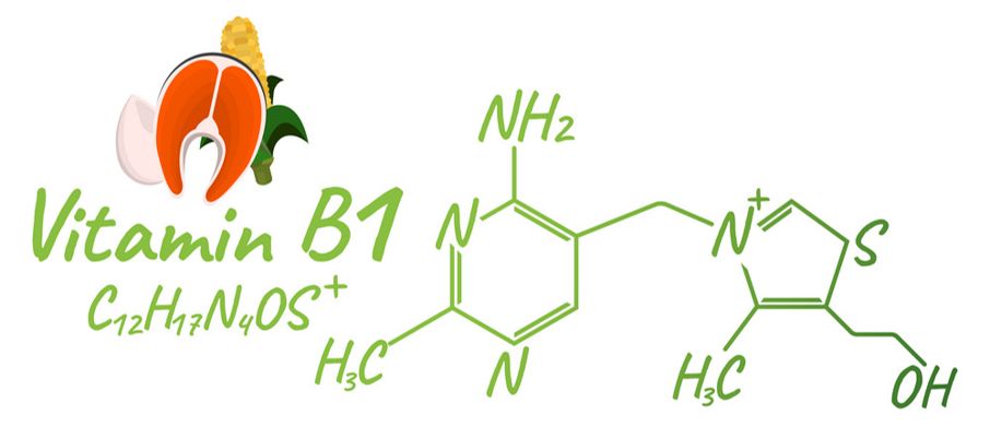 补维生素b猫咪不容易得猫癣,食补补充猫咪的营养