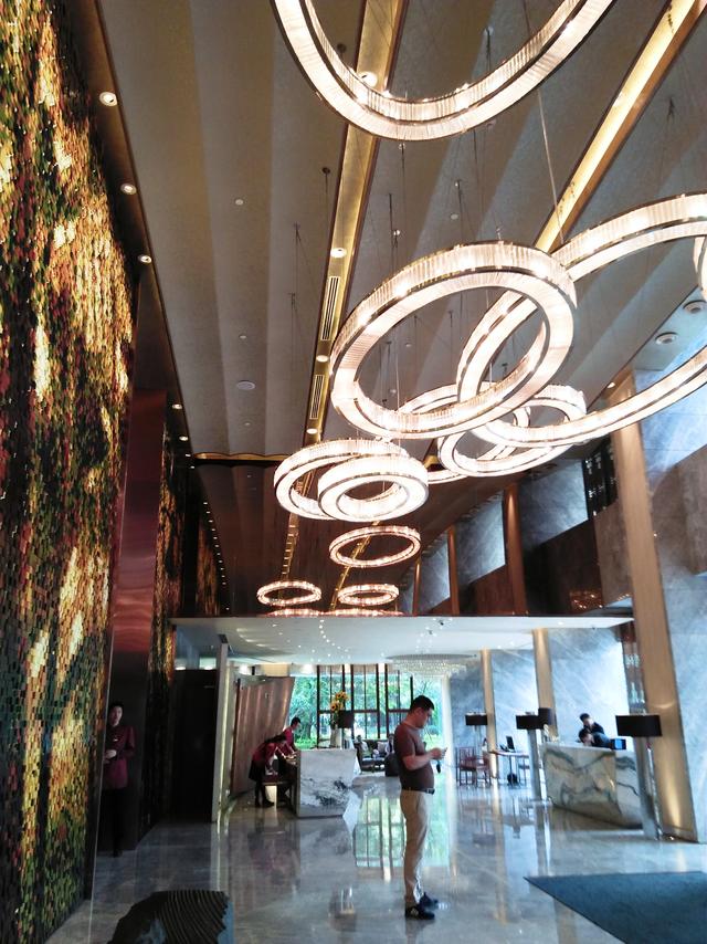 酒店体验版,酒店体验