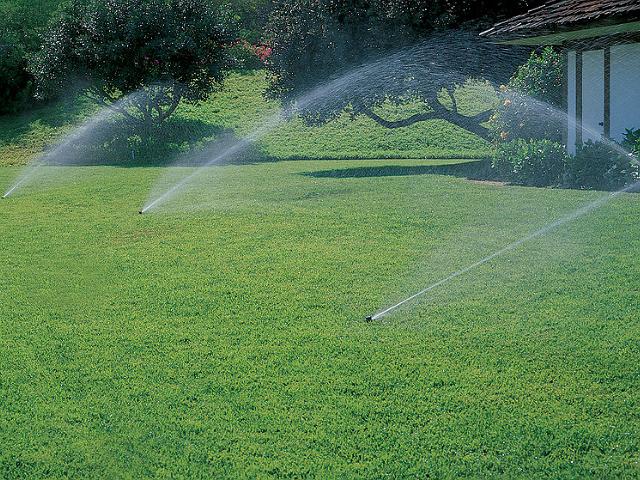 种地的成本和利润,农民种地赚钱亏本