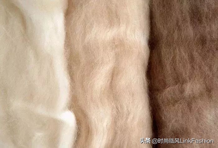 要时尚要洋气,要时尚更要精致