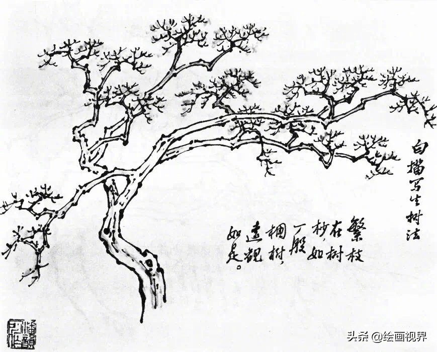 树枝怎么画最简单又好看图,工笔画树的画法视频