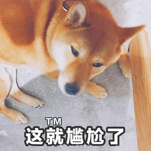 美妆界网红产品,美妆吐槽大会精华液