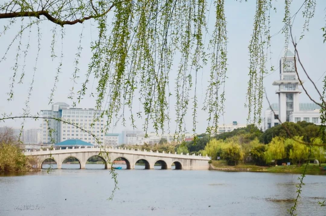 中南财经政法大学在湖北排名,中南财经政法大学财经类排名